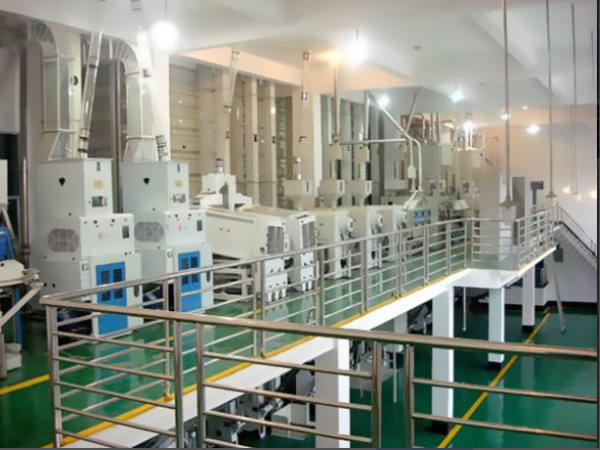 200噸大米加工設備